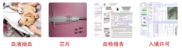 宠物出国系列手续